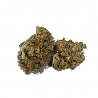 Fleur de CBD HARLEQUIN (cannabis Légal)