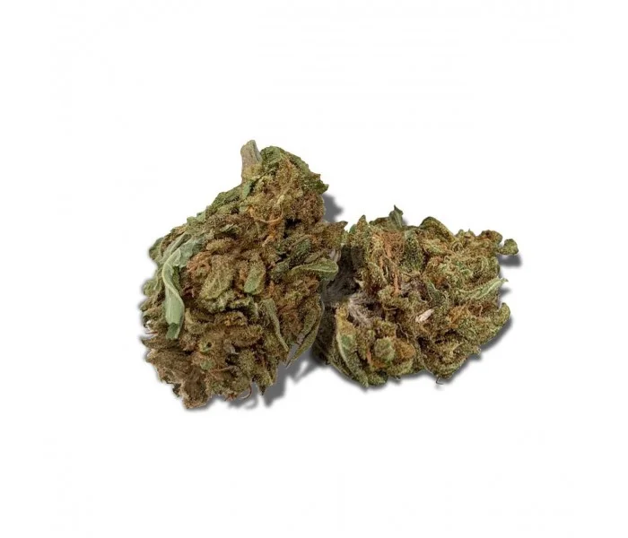 Fleur de CBD HARLEQUIN (cannabis Légal)