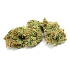 Fleur de CBD SUPER SILVER HAZE (cannabis Légal)