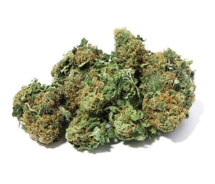 Fleur de CBD JACK HERRER (cannabis Légal)