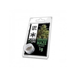 Amnésia haze solide résine hash CBD 10%