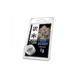 Résine de CBD 10% BLUEBERRY plant of life