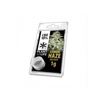 Lemon haze CBD 10% hash légal cannabidiol