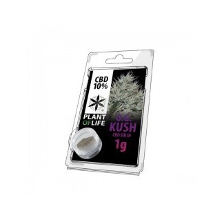 OG kush cbd 10% en résine pollen hashish légal