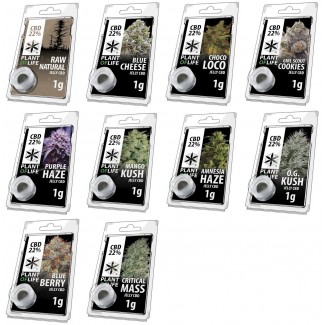Pack découverte CBD solide 22% (résine hash jelly) plant of life