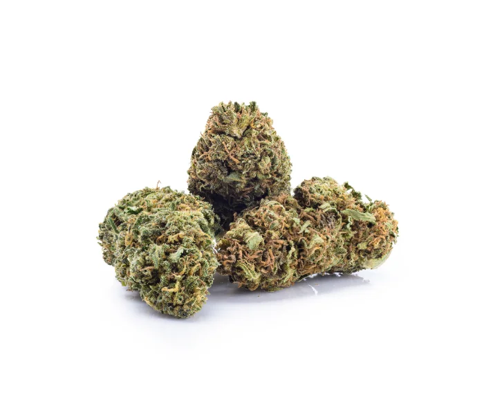 Fleur de CBD PURPLE HAZE (cannabis Légal)
