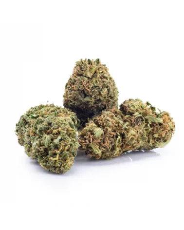 Fleur de CBD PURPLE HAZE (cannabis Légal)