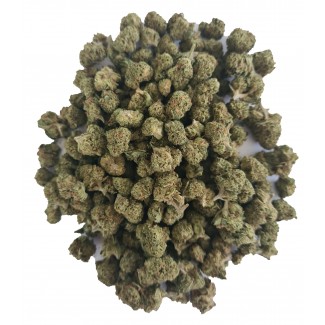 small buds CBD, fleurs de CBD à infuser. Cannabidiol