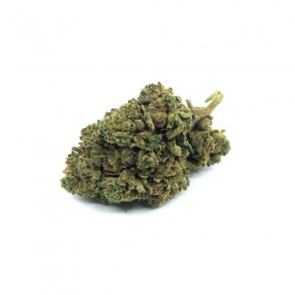 Fleur de CBD BUDDHA FRUIT