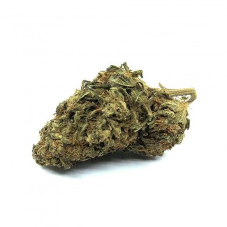 Fleur de CBD OG KUSH