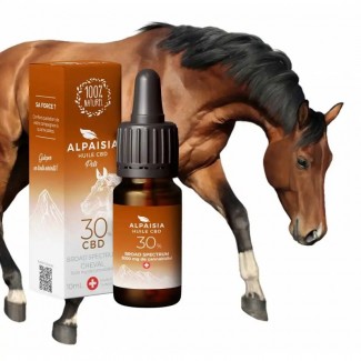 Huile de CBD 30% pour cheval goût Foin/Carotte Alpaisia