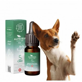 Huile 5% de CBD pour chien arôme bacon Alpaisia