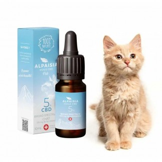 Huile Alpaisia 5% de CBD pour chat arôme Poisson