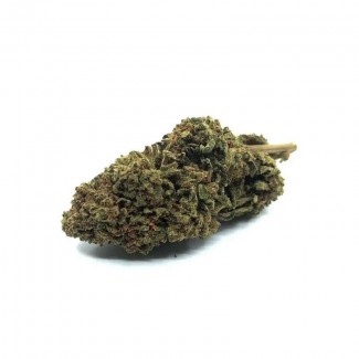 Fleur de cbd Orange BUD