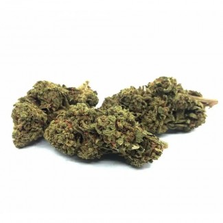 Fleur de cbd Orange BUD