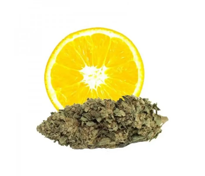 Fleur de cbd Orange BUD