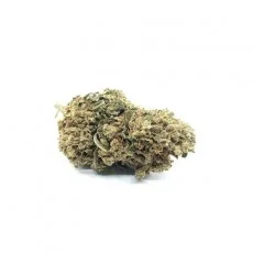 Fleur de CBD WHITE WIDOW (cannabis Légal)