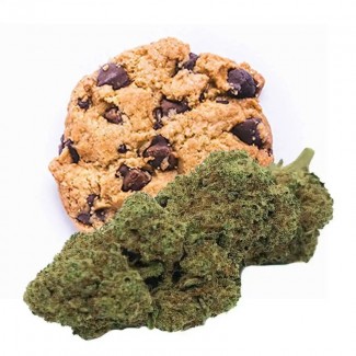 Fleur de CBD NEW YORK COOKIES (cannabis Légal)