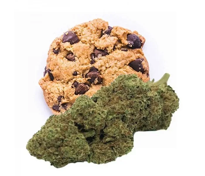 Fleur de CBD NEW YORK COOKIES (cannabis Légal)