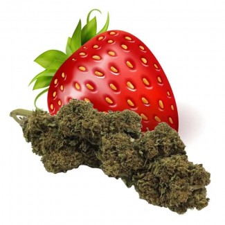 Fleur de CBD STRAWBERRY (cannabis Légal)