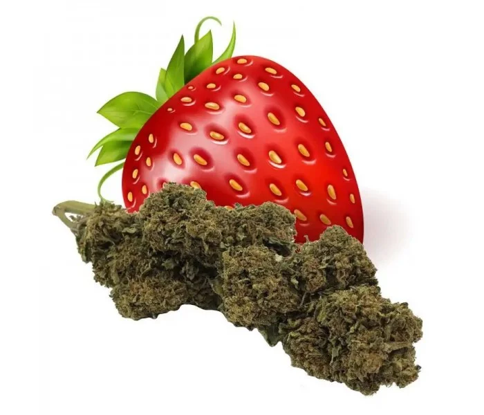 Fleur de CBD STRAWBERRY (cannabis Légal)