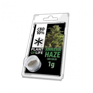 CBD solide 10% AMNESIA HAZE 1g (résine pollen hash) Plant Of Life
