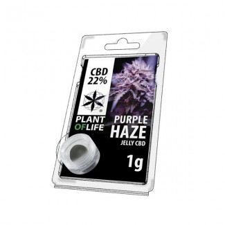 JELLY AU CBD 22% PURPLE HAZE 1g résine plant of life