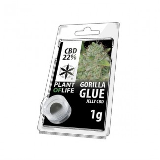 CBD solide 22% GORILLA GLUE 1g (résine jelly) Plant of Life