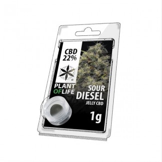 CBD solide 22% SOUR DIESEL 1g (résine jelly) Plant of Life