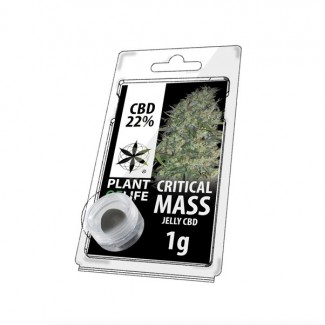 JELLY AU CBD 22% CRITICAL MASS 1g résine plant of life