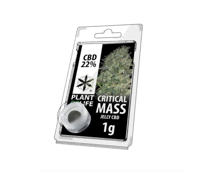 JELLY AU CBD 22% CRITICAL MASS 1g résine plant of life