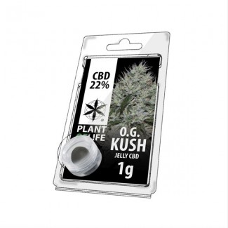 CBD solide 22% O.G KUSH 1g (résine jelly) Plant of Life