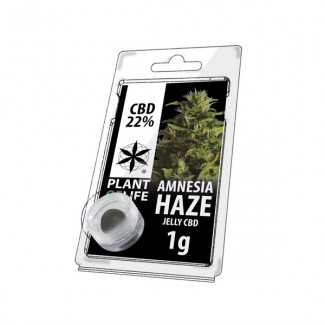 CBD solide 22% AMNESIA HAZE 1g (résine jelly) Plant Of Life