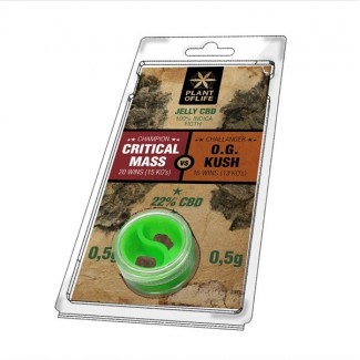 CRITICAL MASS VS OG KUSH CBD 22% (résine jelly) Plant of Life solide cbd