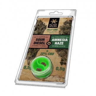 AMNESIA HAZE VS SOUR DIESEL CBD 22% (résine jelly) Plant of Life CBD solide