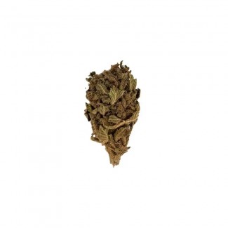 Fleur CBD BANANA, arômes fruités