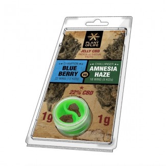AMNESIA HAZE VS BLUEBERRY CBD 22% (résine jelly) Plant of Life- solide CBD.
