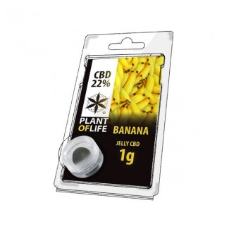 JELLY CBD FRUIT 22% Banana 1g plant of life résine