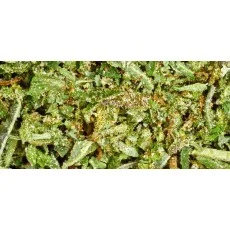 TRIM CBD premium Mix de différentes variétés de fleurs CBD (cannabis Légal) France - trim indoor
