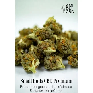 Small Buds CBD Premium 6-9% – Petits Bourgeons CBD Pas Cher