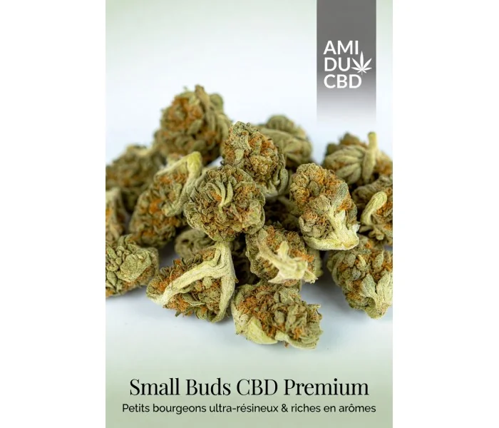 Small Buds CBD Premium - Petits bourgeons fruités 6-9% CBD - AMI DU CBD