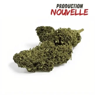 Fleur CBD premium Saphire Hybride Indoor