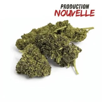 Fleur CBD Saphire Hybride Indoor