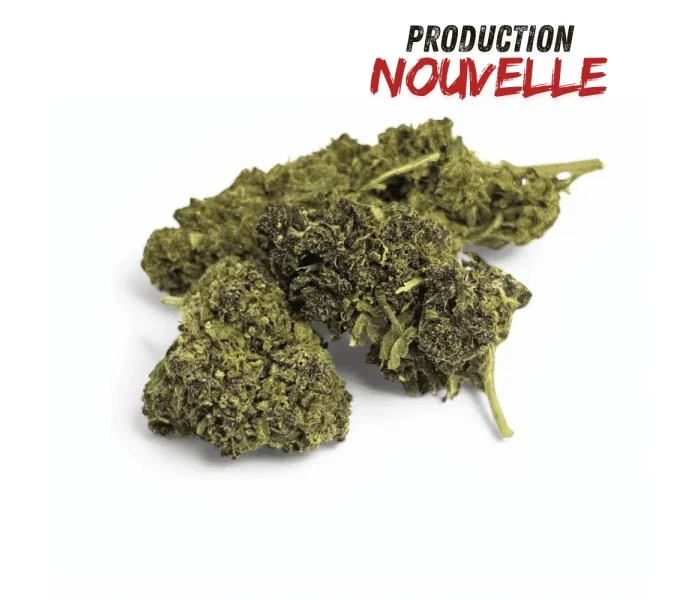 Fleur CBD Saphire Hybride Indoor