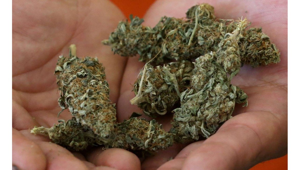 Les fleurs de CBD enfin légales en France