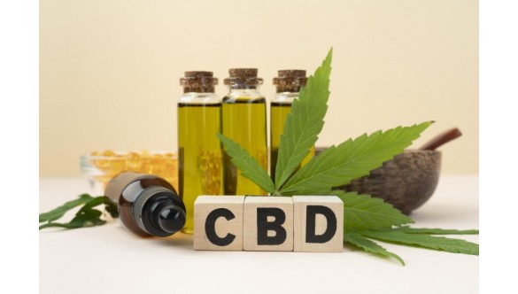 CBD : Tout ce que vous devez savoir