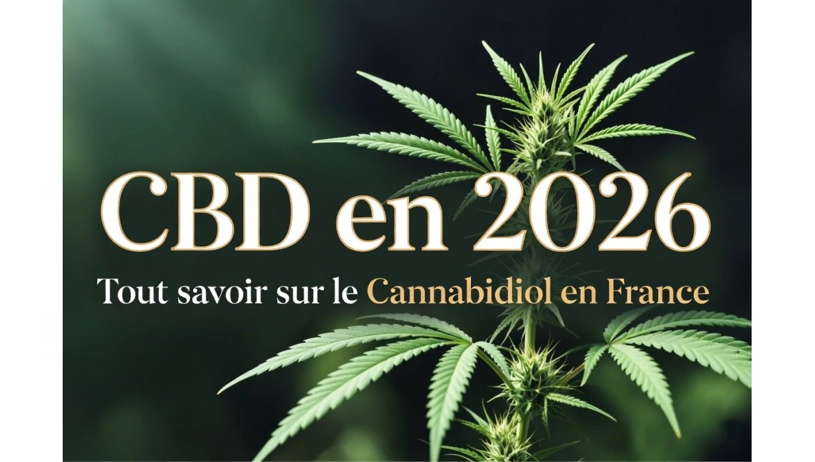 CBD en 2026 : Le Guide Complet en France
