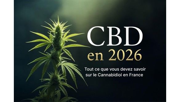 CBD en 2026 : Le Guide Complet en France
