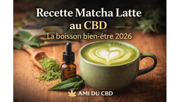 Recette de Matcha Latte au CBD : La Boisson Bien-Être qui Cartonne en 2026