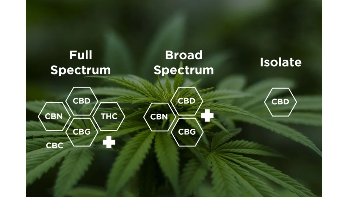 CBD Full spectrum, Broad spectrum ou Isolat on vous explique !